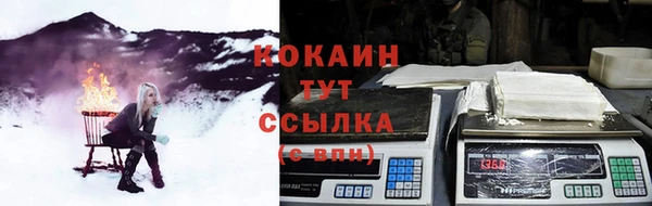 сатива Беломорск