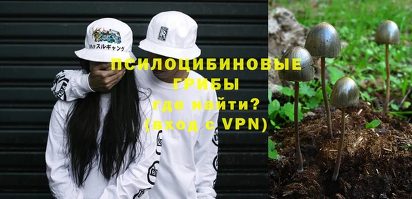 каннабис Богданович