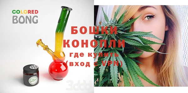 МДПВ Богородск