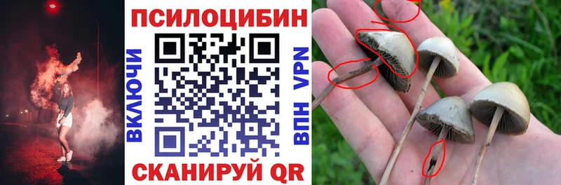Псилоцибиновые грибы ЛСД  Белово 